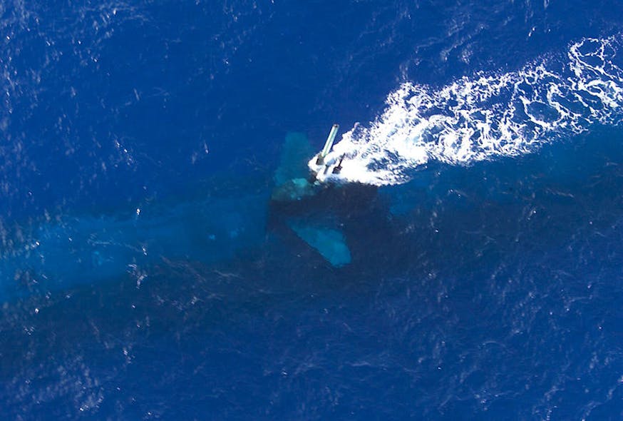 Submarine Periscope 7 Dec 2020