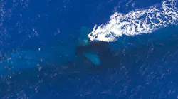 Submarine Periscope 7 Dec 2020