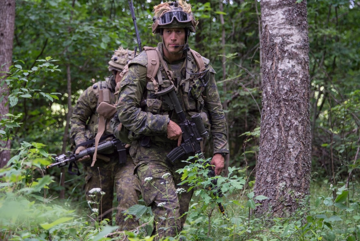 Camouflage Canada 9 Feb 2021 60216ea08b399