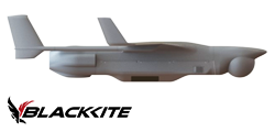 Black Kite On Integrator With Logo