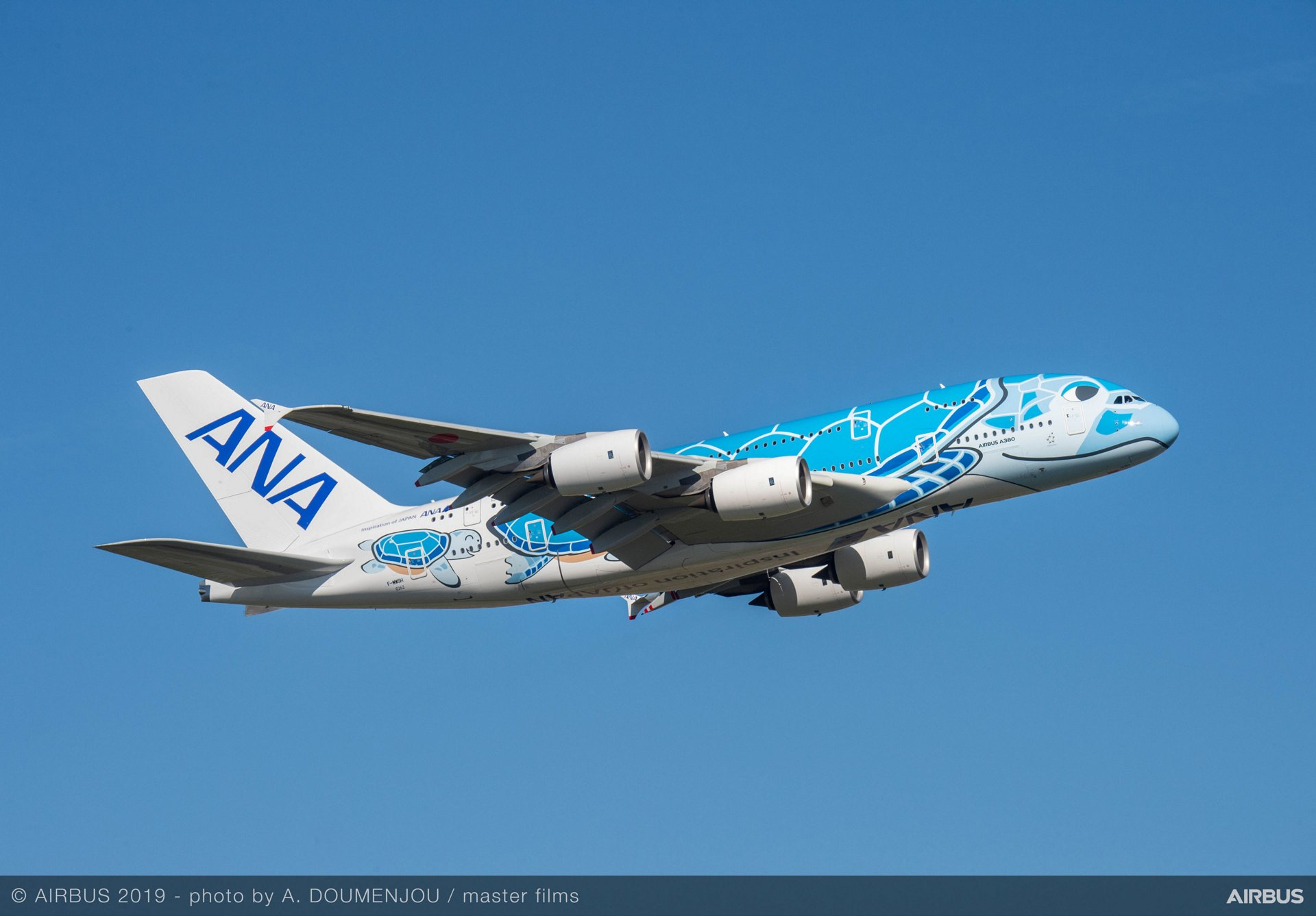 Ana A380 Flying Honu 61689cb44d32b
