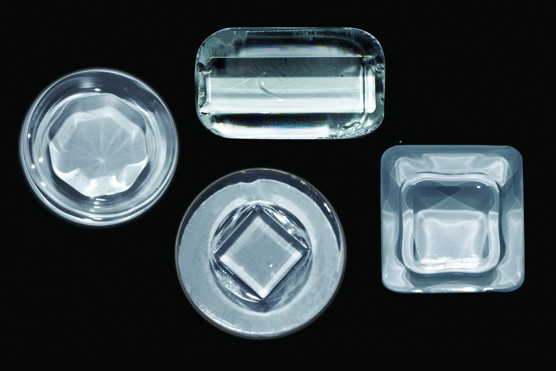 Armadillo 26 Oct 2021 617692940e254