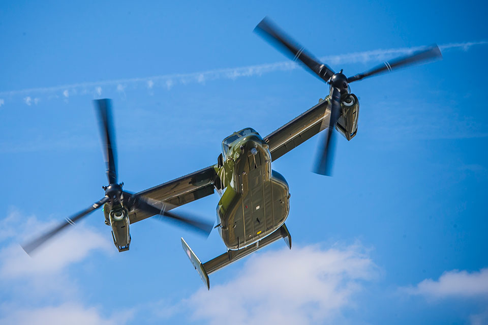 Osprey 16 Nov 2021 6193c52356458