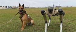 Sunny, a 325th Security Forces Squadron military working dog, poses next to a Quad-legged Unmanned Ground Vehicle at Tyndall Air Force Base, Fla.
