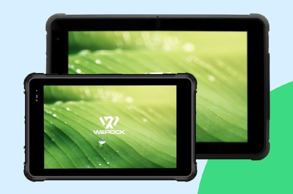 Werock 25 April 2022 6265b11f3bec0