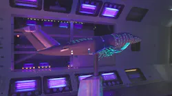 Extra Performance Wing Demonstrator X Wing Wind Tunnel