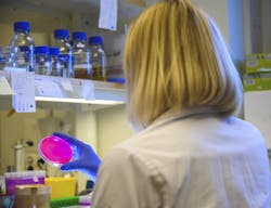 Dreamstime Xxl 172650844 62c4a01797c8d Dreamstime Xxl 172650844 62c4a01797c8d