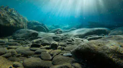 Ocean Floor 15 July 2022