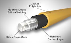 Armadillo 19 Sept 2022 63230a5a4d319 Armadillo 19 Sept 2022 63230a5a4d319