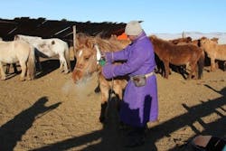 Mongolia Collar 6360312cb469e Mongolia Collar 6360312cb469e