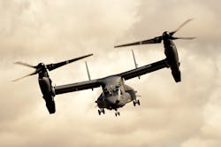 Osprey 5 April 2023 642c47542cd58 Osprey 5 April 2023 642c47542cd58