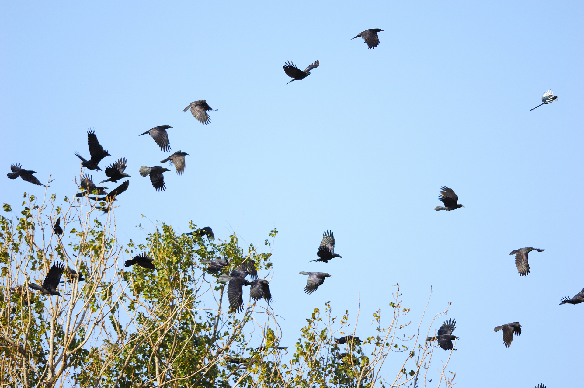 Photo 5823944 &copy; Guodingping | Dreamstime.com