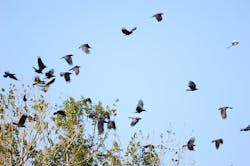 Photo 5823944 © Guodingping | Dreamstime.com Photo 5823944 © Guodingping | Dreamstime.com