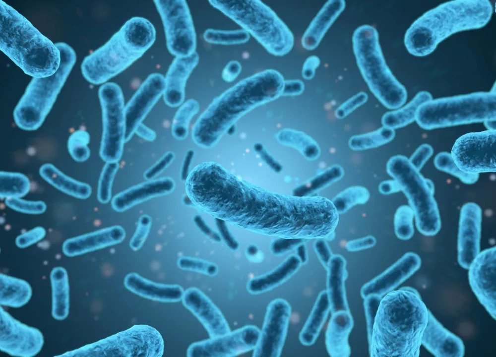 Microbes 25 April 2023 6446b33d9195c