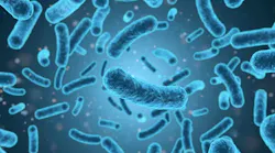 Microbes 25 April 2023