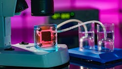 Photo 187883818 © Luchschen | Dreamstime.com Photo 187883818 © Luchschen | Dreamstime.com