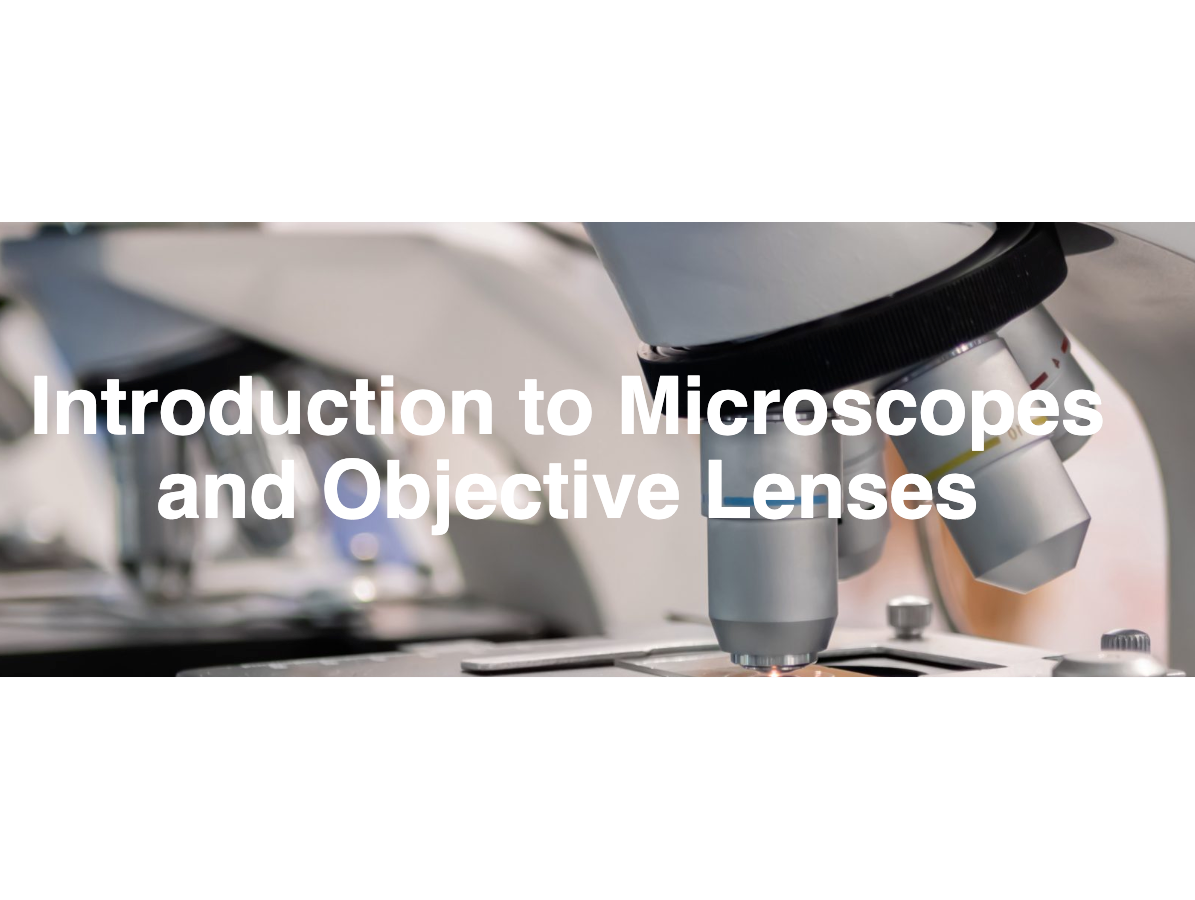 Screen Shot 2023 07 03 At 4 09 25 Pm 64a32c8cc5979