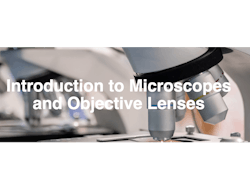 Screen Shot 2023 07 03 At 4 09 25 Pm 64a32c8cc5979 Screen Shot 2023 07 03 At 4 09 25 Pm 64a32c8cc5979