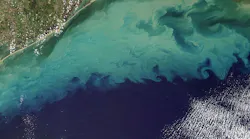 NASA selected GLIMR to be the agency’s first hyperspectral imager in geostationary orbit. Photo courtesy University of New Hampshire.