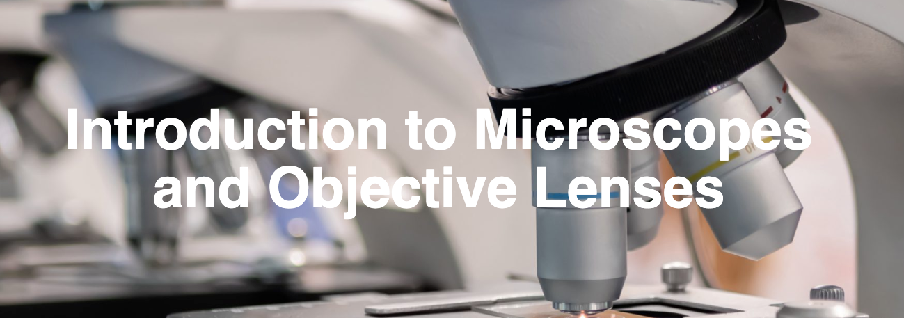 Screen Shot 2023 08 03 At 4 18 27 Pm 64cc0c397793f