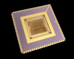 Senseeker 21 Aug 2021 64df6406c81b9 Senseeker 21 Aug 2021 64df6406c81b9