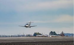 654e89e804d5c1001ec5237f Samson Ffimage 654e89e804d5c1001ec5237f Samson Ffimage