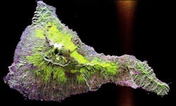 656f70bae6c6a2001e659883 Array Processing 6 Dec 2023 656f70bae6c6a2001e659883 Array Processing 6 Dec 2023