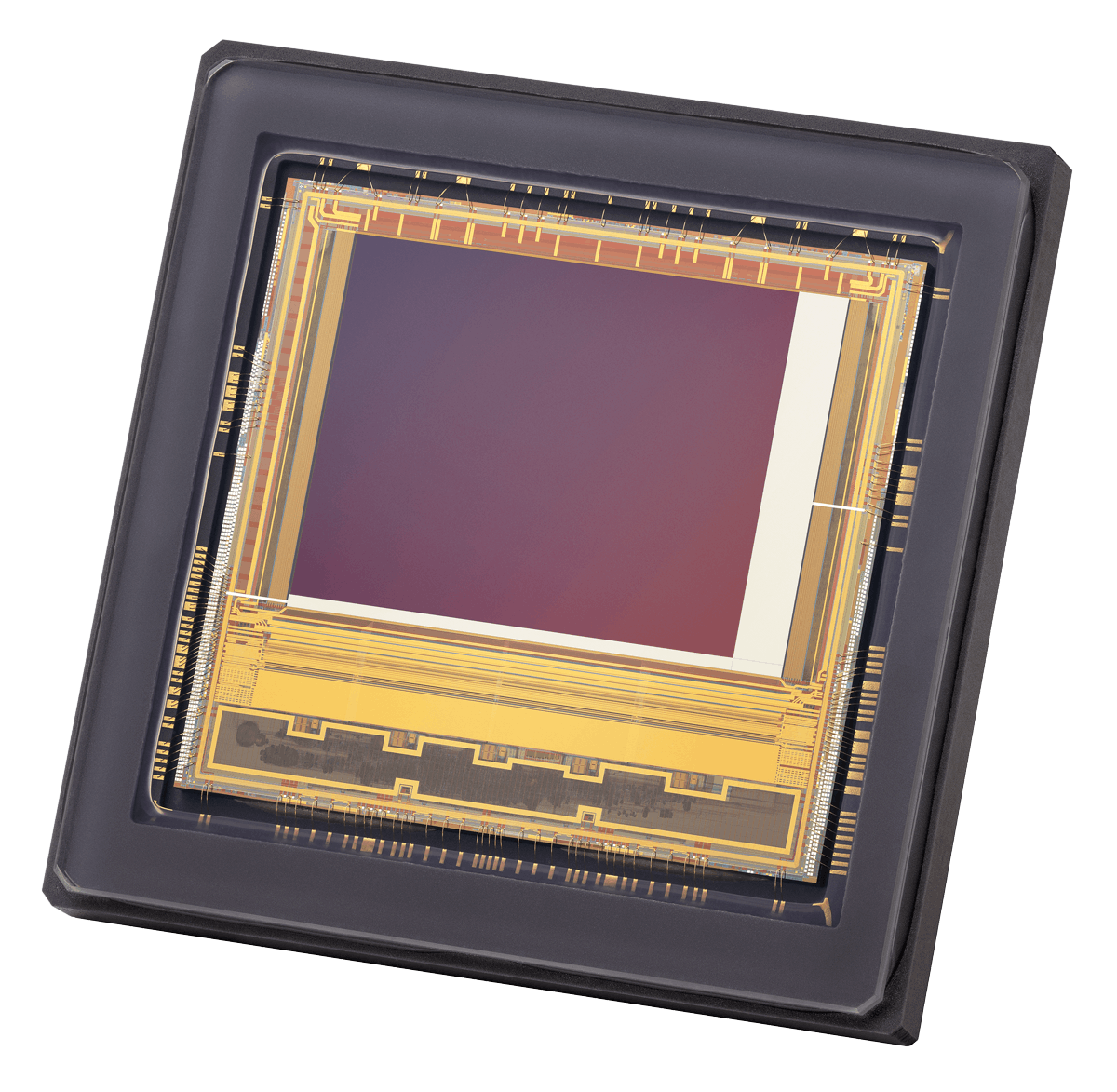 teledyne_e2v_19_feb_2024