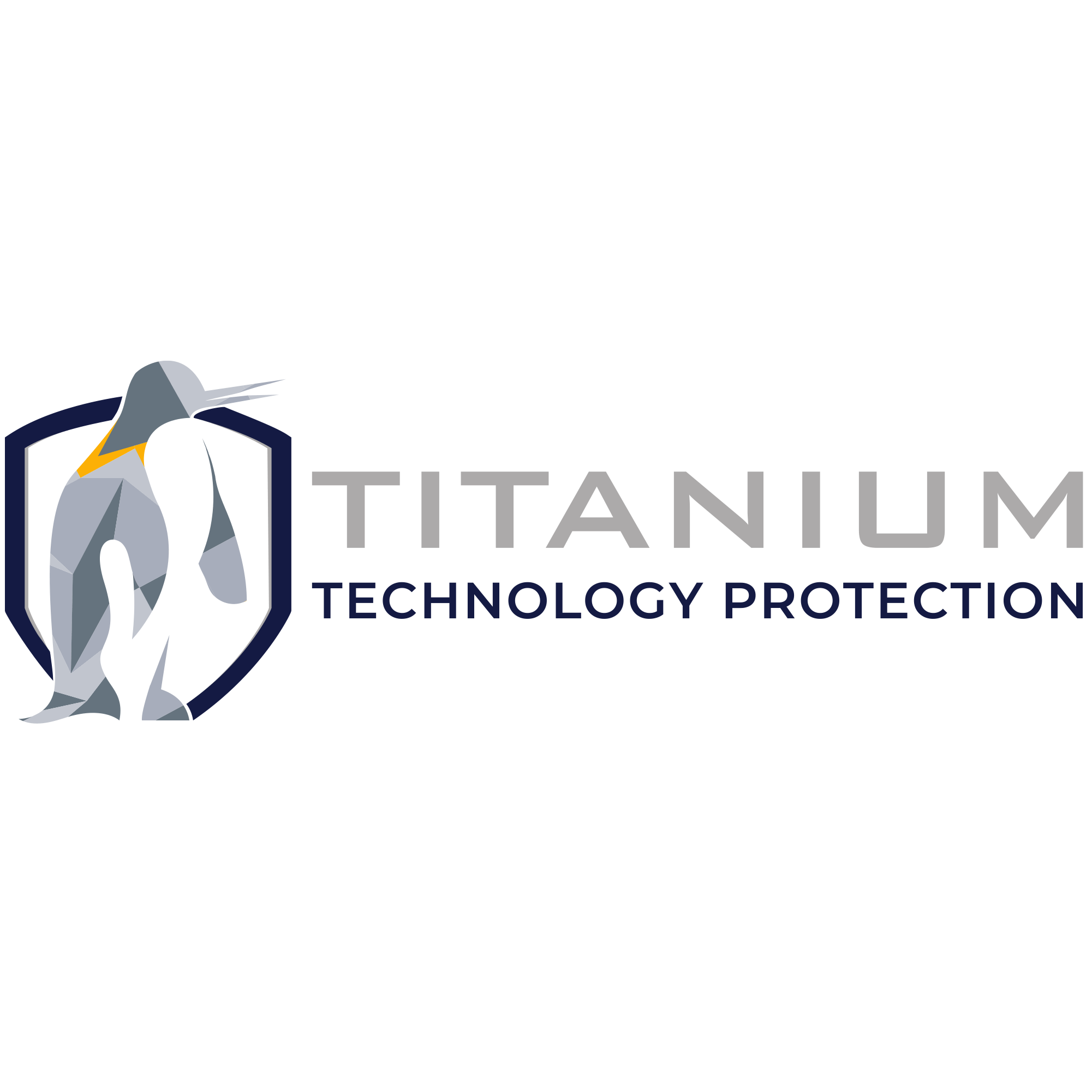 titanium_technology_protection