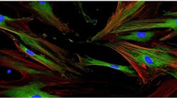 65f08d7534345f001ec3b1a0 Screenshot 20240312 At 1 65f08d7534345f001ec3b1a0 Screenshot 20240312 At 1