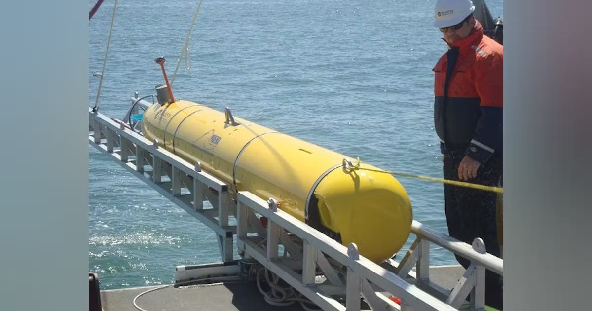 660b03cfe066db001da999e2 Black Pearl 10 Feb 2020