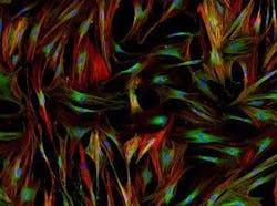 66295649a18a9f001f77c7d8 Resizedadobestock 102371767300x223 66295649a18a9f001f77c7d8 Resizedadobestock 102371767300x223