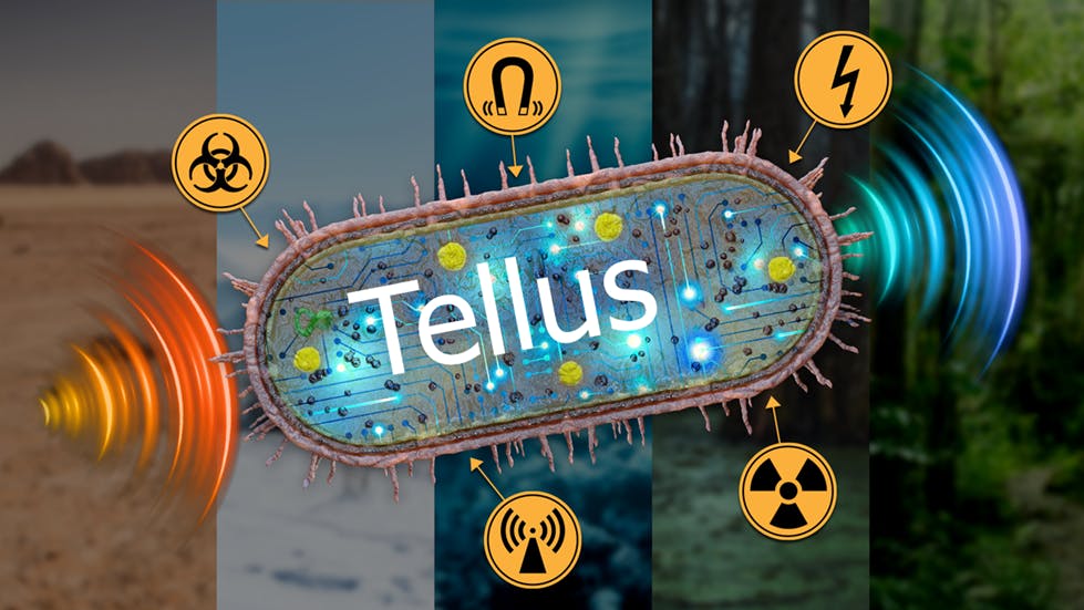 663e1d500fa242862b74969a Tellus Battelle 13 May 2024