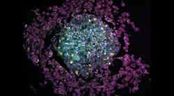 raman_scattering_17_may_2024