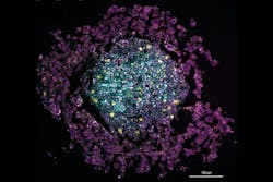 6646463f38833bdb01dea9d0 Raman Scattering 17 May 2024 6646463f38833bdb01dea9d0 Raman Scattering 17 May 2024