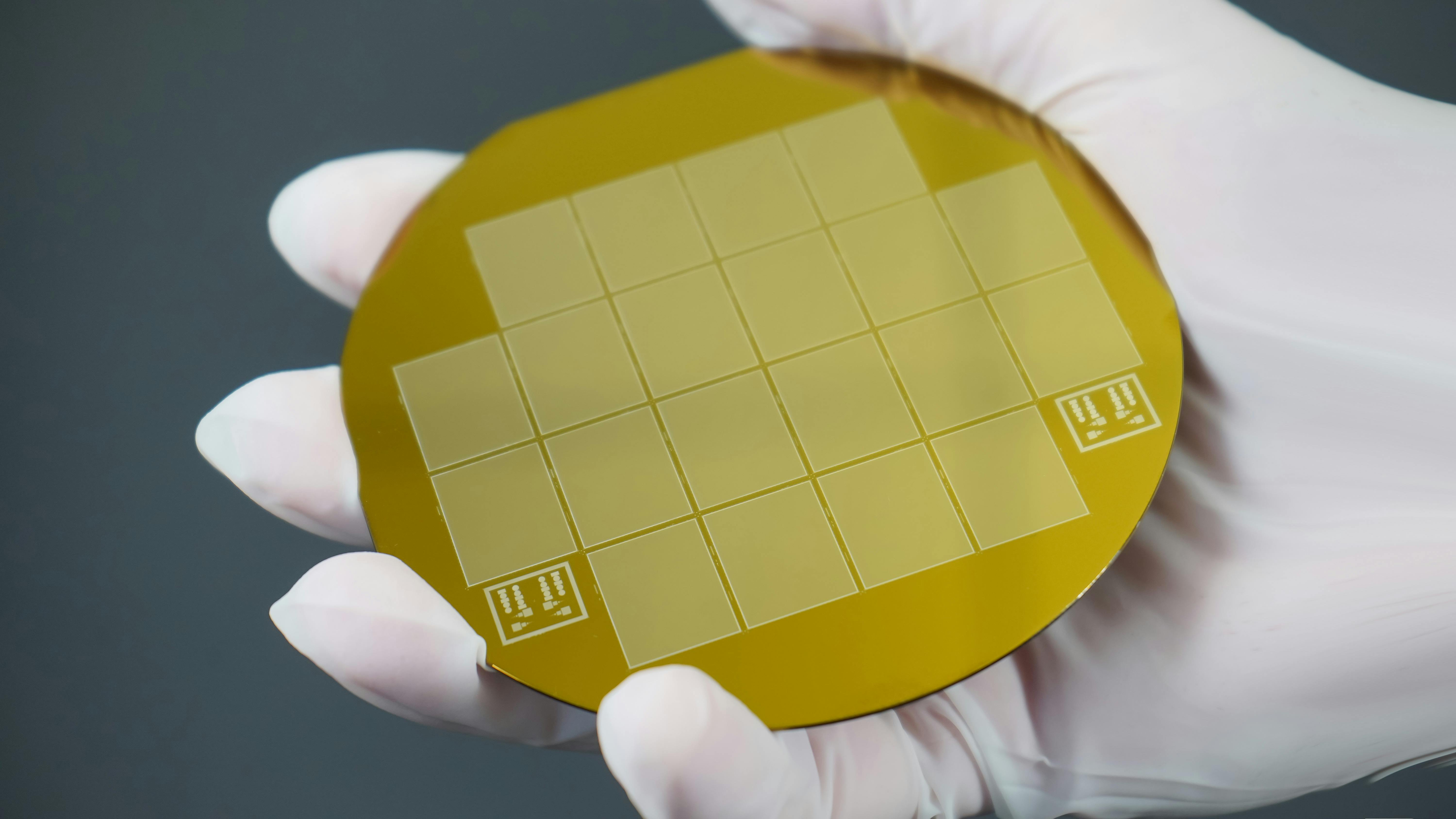 66fd51b113dd00276ed7fd4b Waferglove