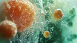 The MICA program's design and simulation portion will include ways to predict the dynamic performance of molecules integrated with microsystems.