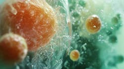 The MICA program's design and simulation portion will include ways to predict the dynamic performance of molecules integrated with microsystems. The MICA program's design and simulation portion will include ways to predict the dynamic performance of molecules integrated with microsystems.