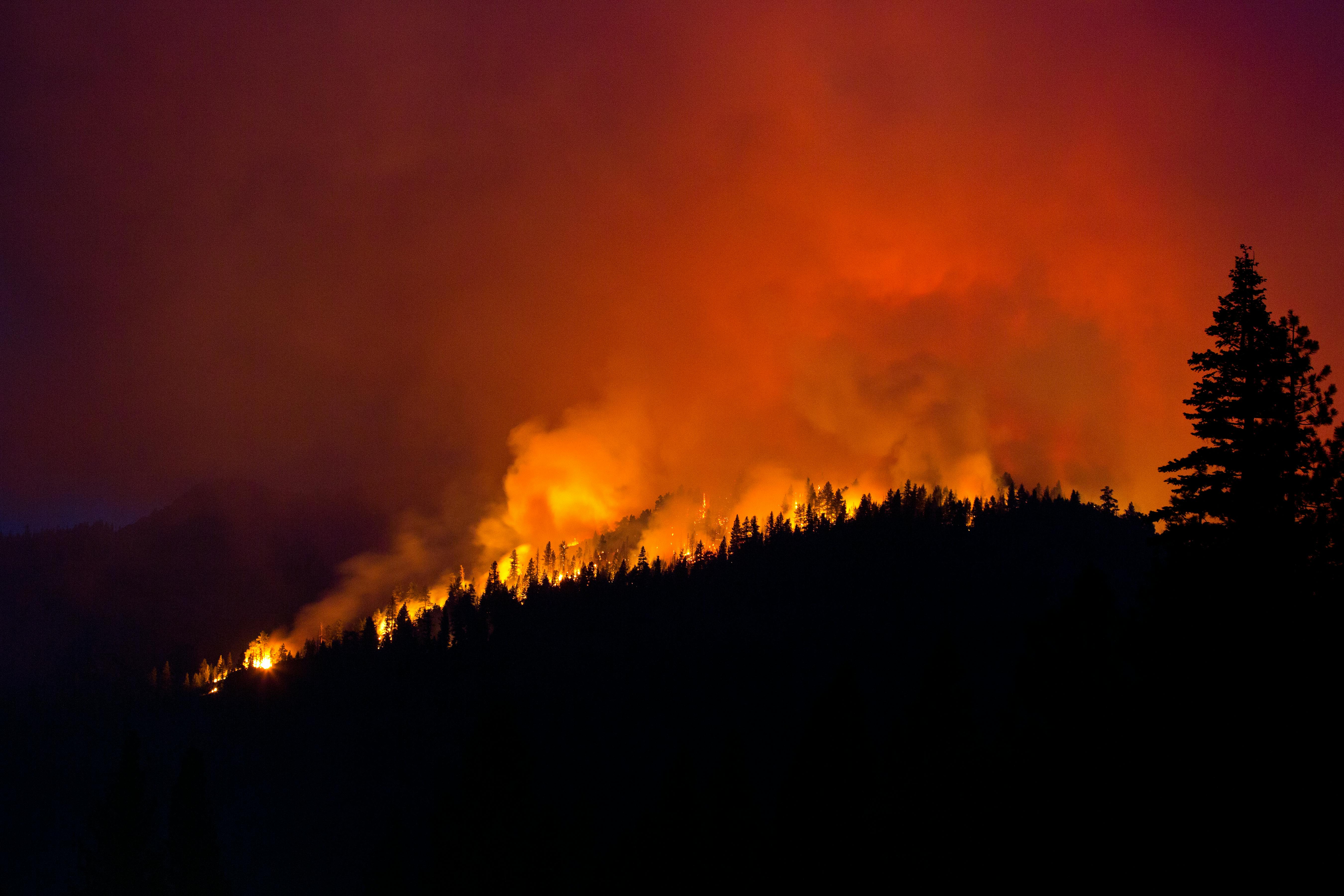 ID 55989802 &copy; Kippy Spilker | Dreamstime.com