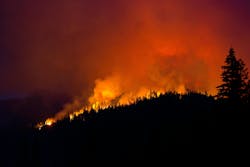 ID 55989802 © Kippy Spilker | Dreamstime.com ID 55989802 © Kippy Spilker | Dreamstime.com