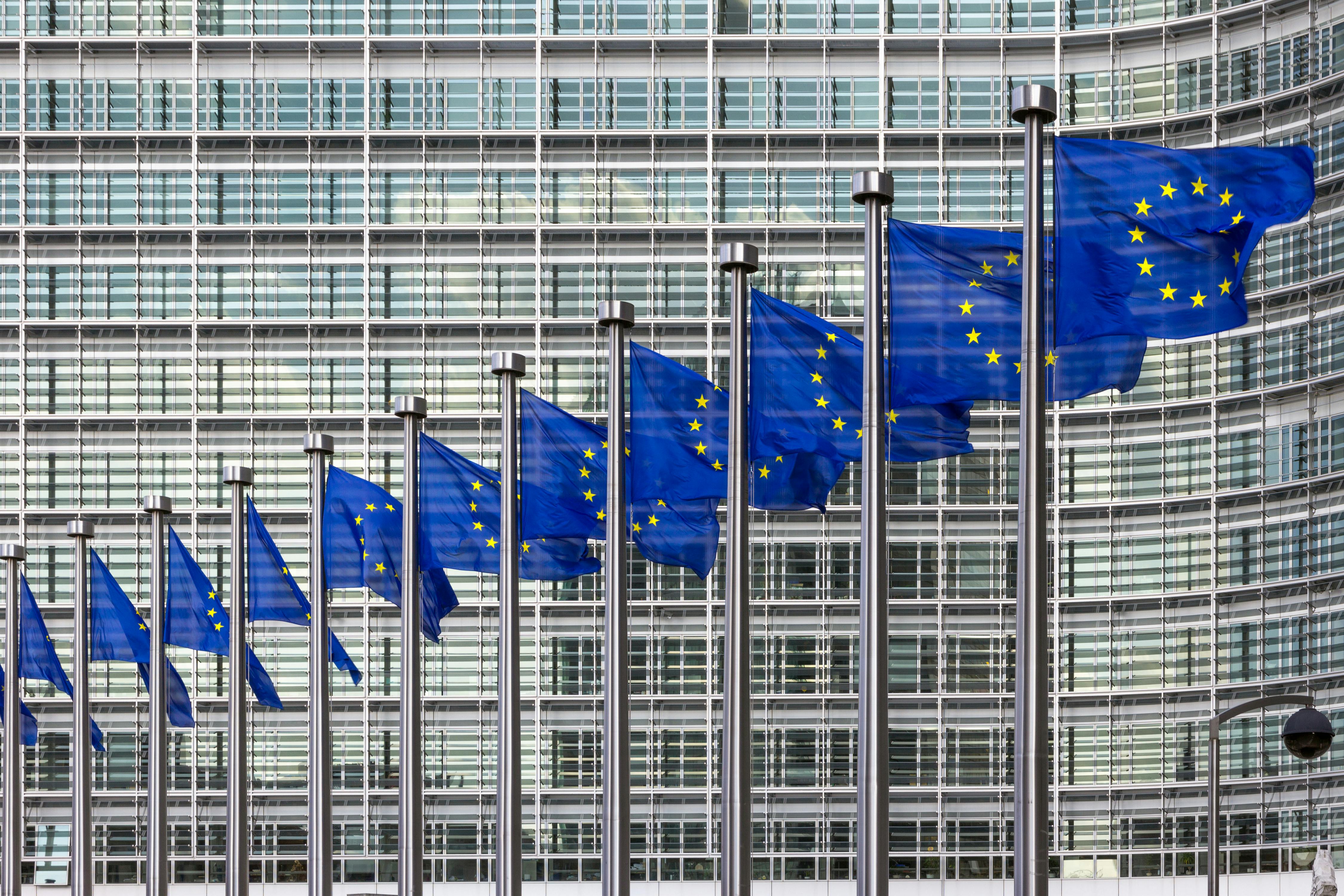 Row of EU Flags in front of the European Union Commission building in Brussels.