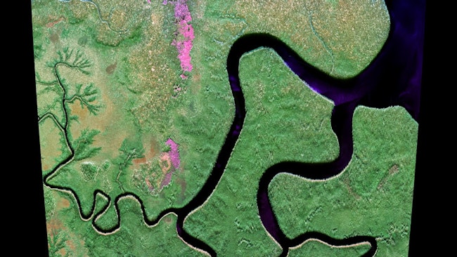 In November 2025, the DLR Microwaves and Radar Institute acquired dedicated images of the tropical rainforests in Gabon. Researchers are using the data from the GABONX flight campaign to compare them with synchronously acquired data from ESA&rsquo;s new Biomass Earth observation satellite, so that its radar system can be correctly calibrated and deliver highly accurate data in the future. Credit: DLR (CC BY-NC-ND 3.0).