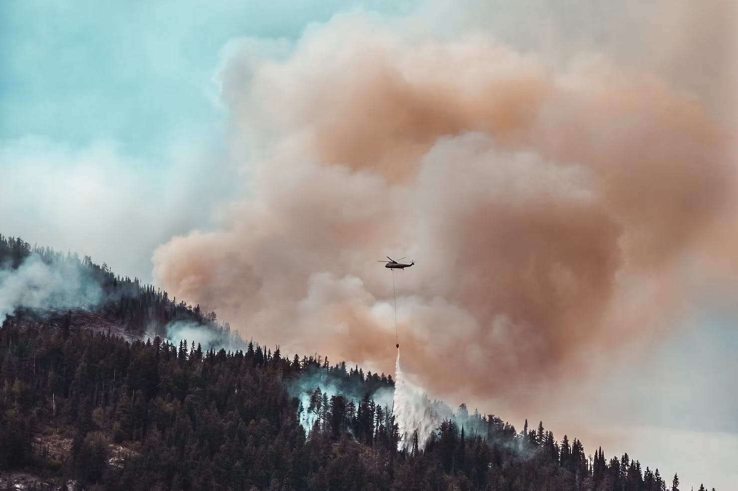 wildfire support