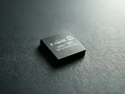 6ad7bea45453ba617775fed8 Productpic